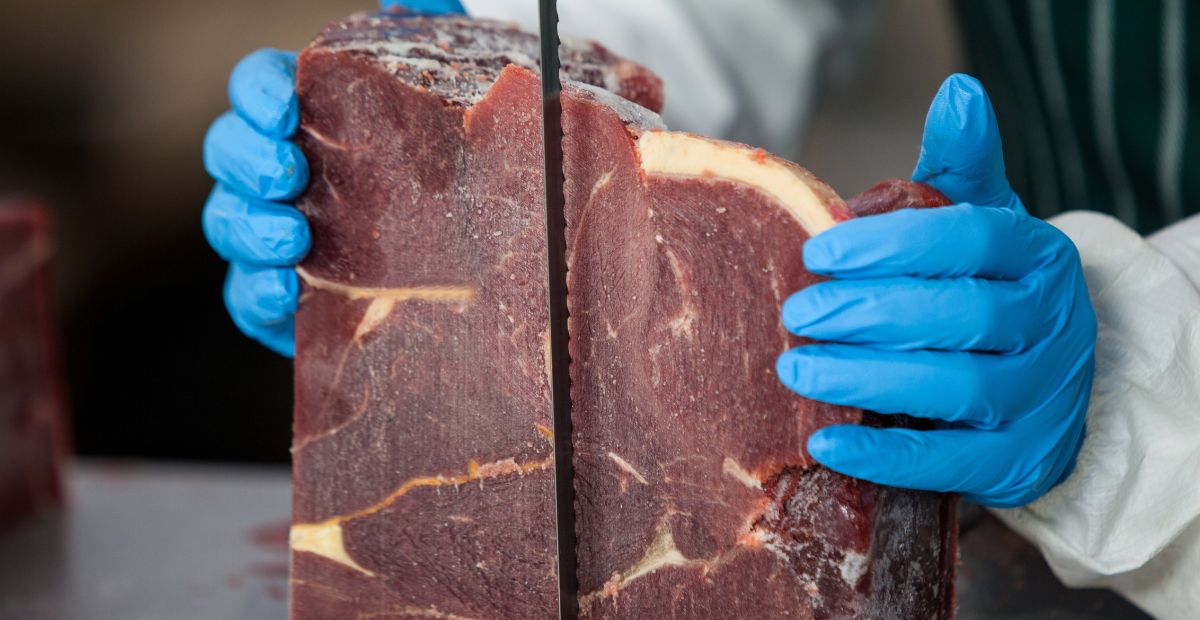 Best Cuts: 6 Steps for Top Meat Band Saw Blade Performance